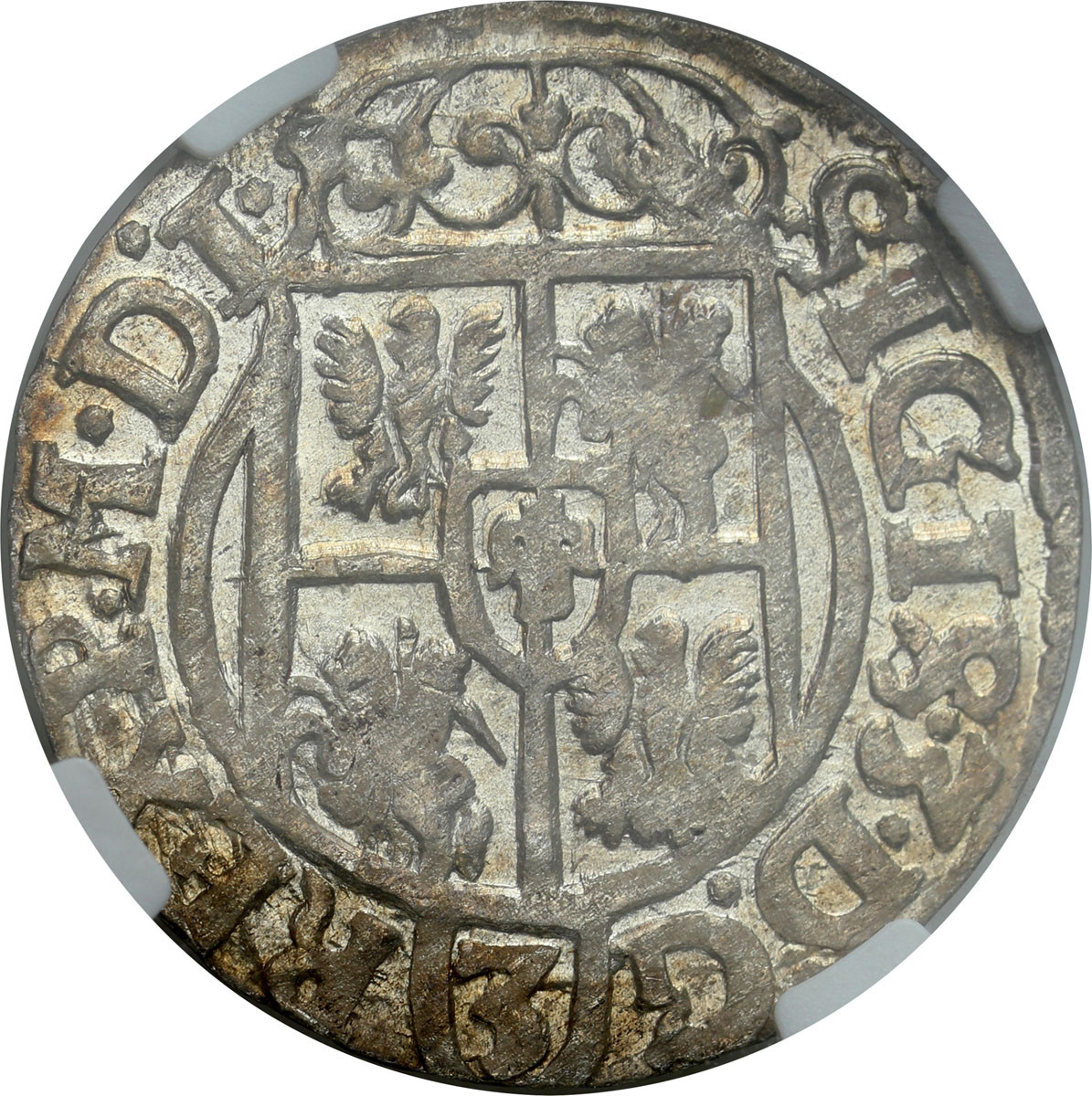 Zygmunt III Waza. Półtorak 1621, Bydgoszcz NGC MS64 (MAX) - PIĘKNY
